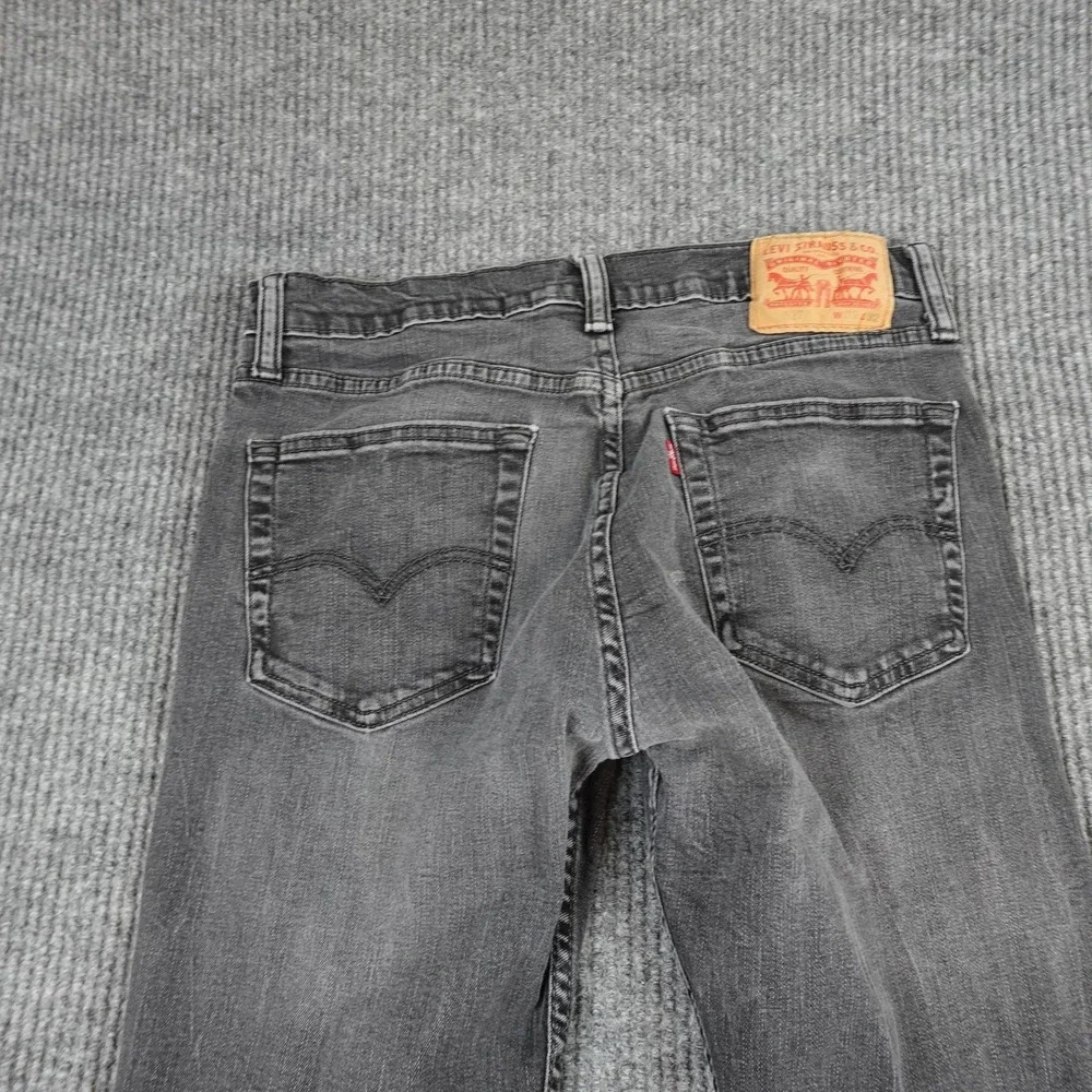 Levis levis 527
